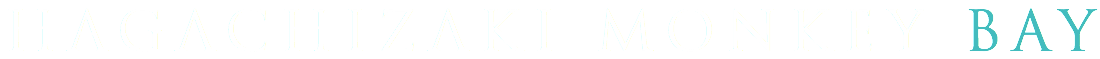 波勝崎モンキーベイ